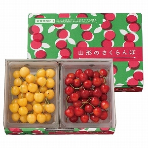 ［天童みのりの会］月山錦・佐藤錦L 500g(各250g)(バラ詰)