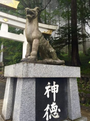 こまいぬ1