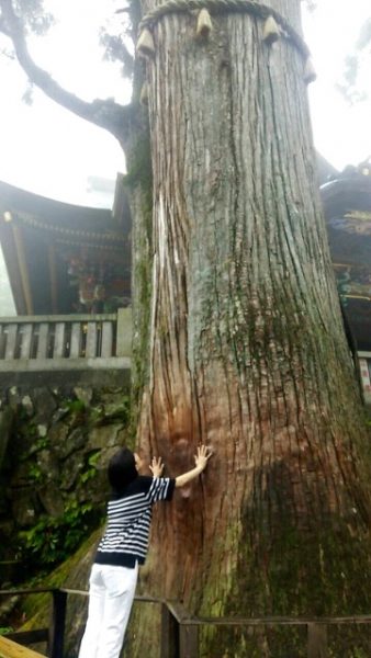 神木タッチ