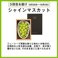 日本の極み　【婦人画報限定】フルーツ3種食べ比べ便／赤肉メロン・川中島白桃・シャインマスカット