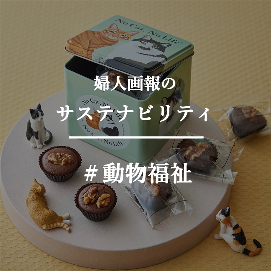 10/16は野良猫の日！保護猫活動を支援する『パティスリー アンフルール』の新商品登場