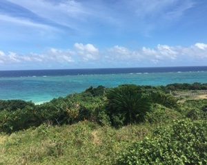 ishigaki1